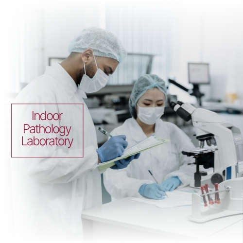 diagnostics-lab-img